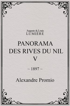 Panorama des rives du Nil, [V]