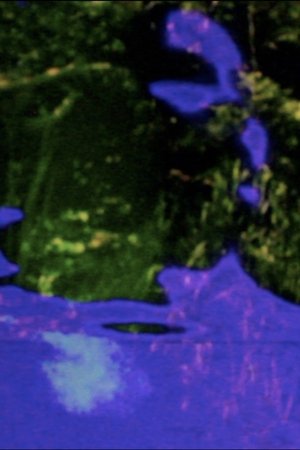 The Spine Folds Far Away