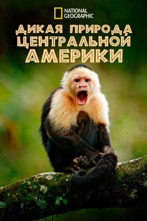 Дикая природа Центральной Америки