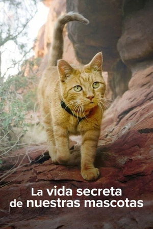 La vida secreta de nuestras mascotas