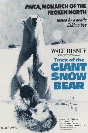 Snow Bear
