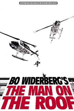 Man on the Roof