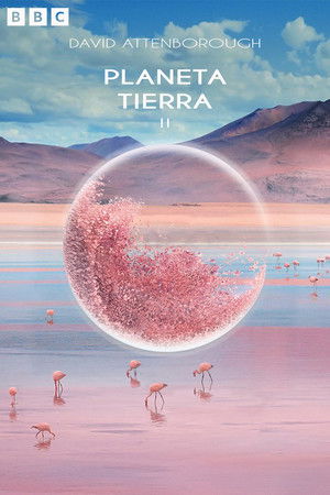 Planeta Tierra 2