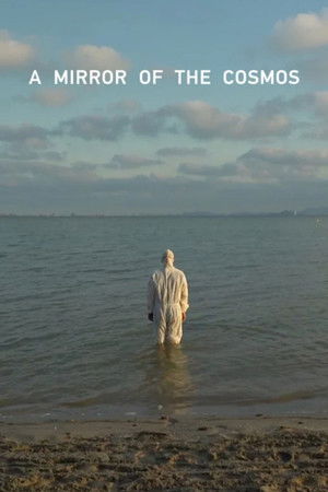 A Mirror of the Cosmos