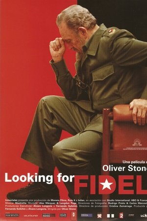 Looking for Fidel