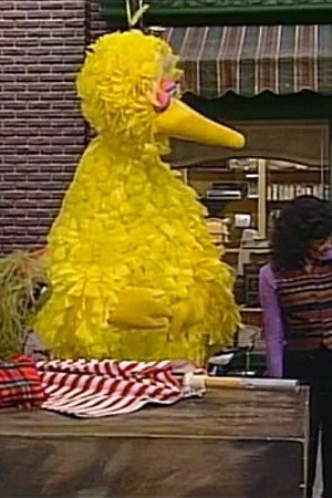 Big Bird's Beach Plans (3636)