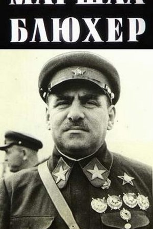 Marshal Blucher: A Portrait Against the Background of an Epoch