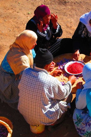 Saffron, Ice Roads, Shelby