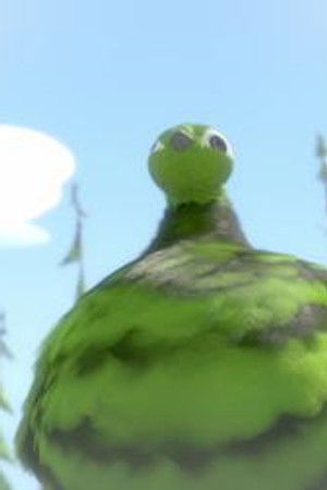 Medvěd málem králem