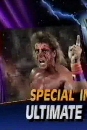 March 23, 1991 - Superstars of Wrestling