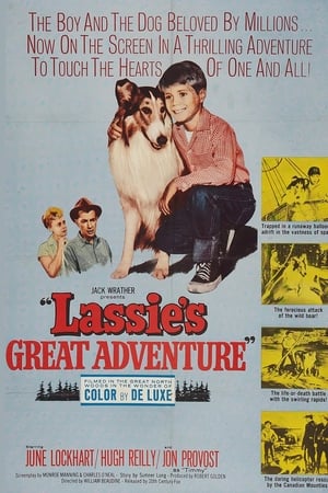 Lassie's Great Adventure