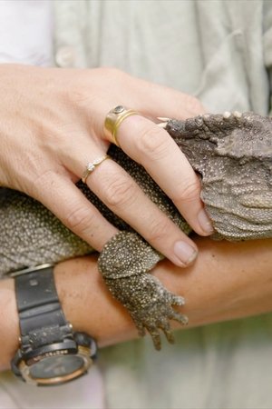 3. epizoda