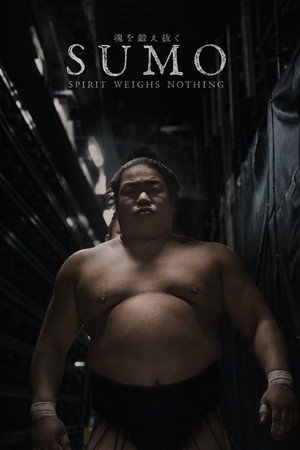 SUMO: Spirit Weighs Nothing