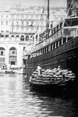 Panorama du port d'Alger (suite du précédent)