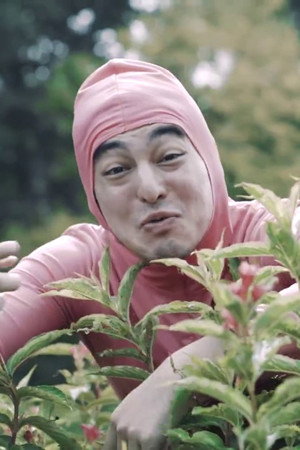 PINK GUY - STFU