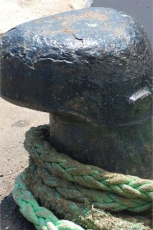 üç düğüm