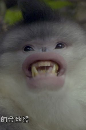 6. epizoda