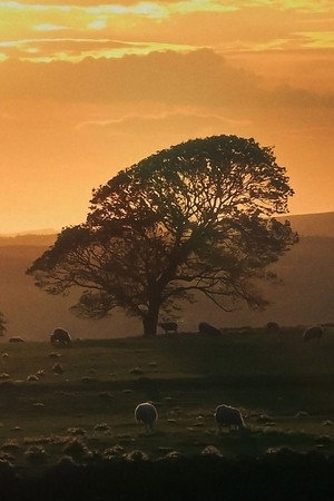 Northumberland