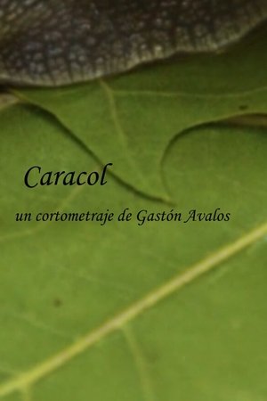 Caracol