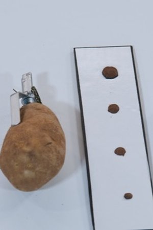 4. epizoda