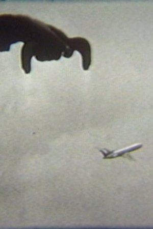 Flying