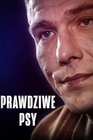 Prawdziwe psy. Krzysiek i Sławek