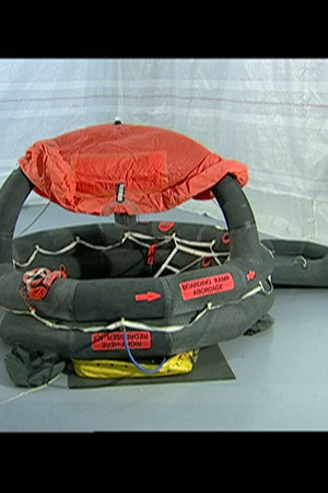 Inflatable Safety Devices, Braille Typewriters, Carbon-Fiber Cellos
