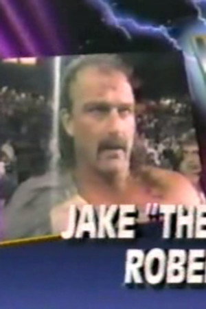 December 8, 1990 - Superstars of Wrestling 223