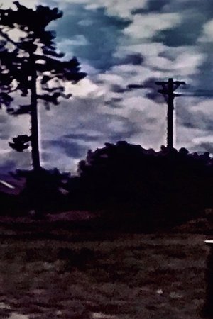 Light Of Darkness