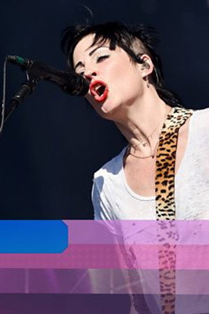 The Distillers