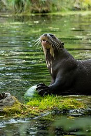 6. epizoda