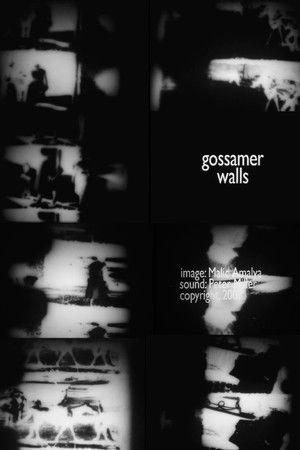 Gossamer Walls
