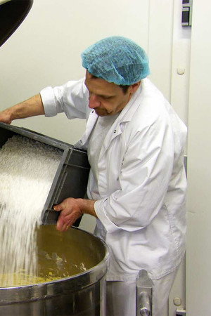 Harp Strings, Roof Windows, Belgian Waffles