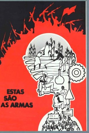 Estas são as armas
