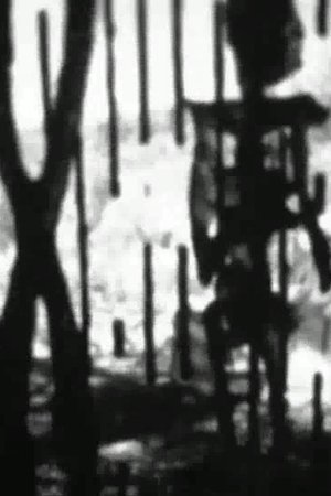 Feature Presentation