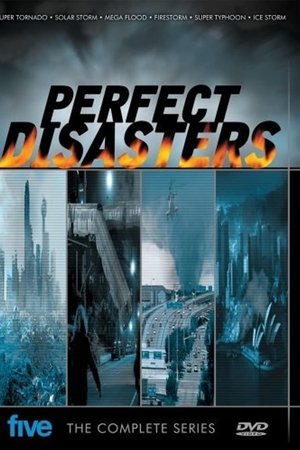 Perfect Disaster