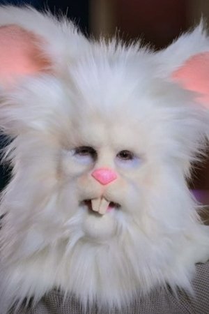 Králík Robbie