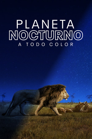 Planeta nocturno: A todo color