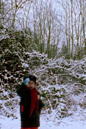 Snowflakes
