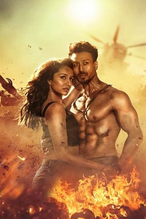 Baaghi 3