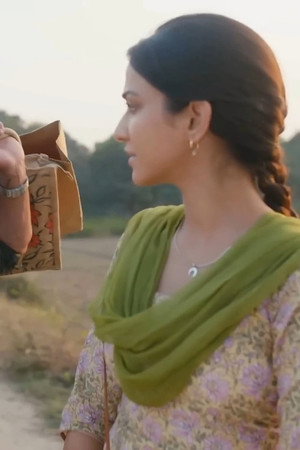 Amarnath tries to deliver the loan money