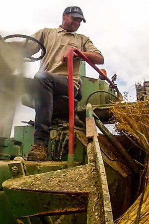 Canvas. Stinky Tofu. Bottle Recycling