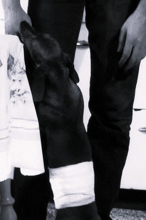 Shadows of an Afternoon