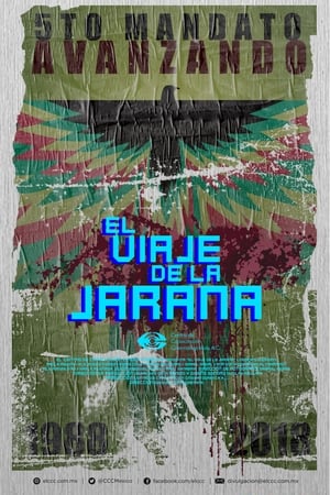 The Jarana’s Journey