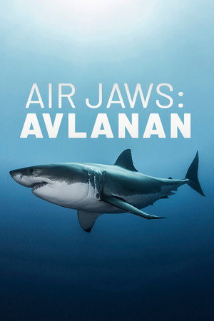 Air Jaws: The Hunted