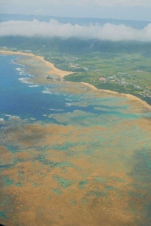 11. epizoda