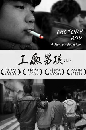 Factory Boy