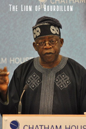 The Lion of Bourdillon