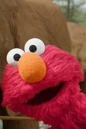 Sesame Street and the Great Elephant Adventure
