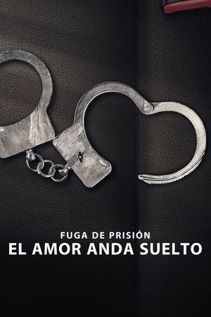 Imagen de Fuga de prisión: El amor anda suelto